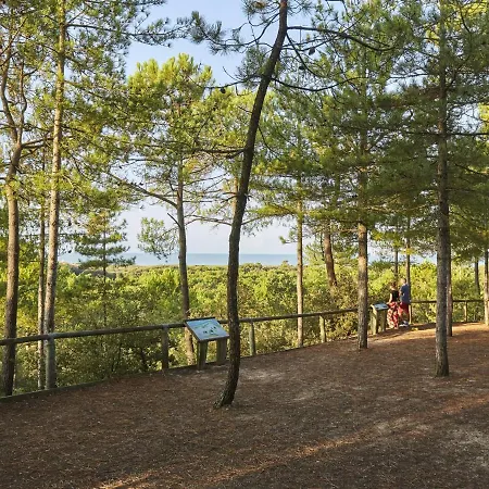 1 Chambre, 4 Pers, Parking Privé, Face Mer, école De Voile - Fr-1-323-103 *