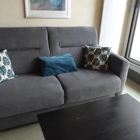 Apartman 1 Chambre, 4 Pers, Parking Prive, Face Mer, Ecole De Voile - Fr-1-323-103