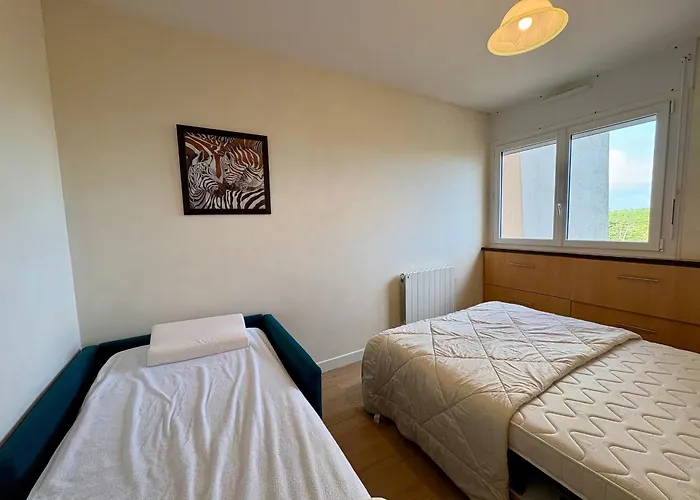 شقة 1 Chambre, 4 Pers, Parking Prive, Face Mer, Ecole De Voile - Fr-1-323-103 سان جان دي مونت